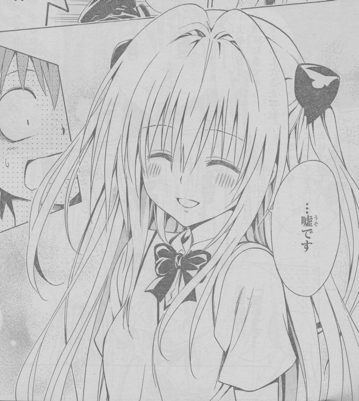 嘘です