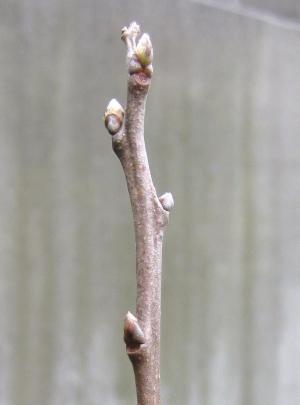 大秋120324