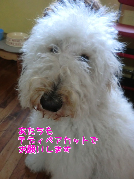 Nncri4B478RmjVx1360313611_1360313776.jpg