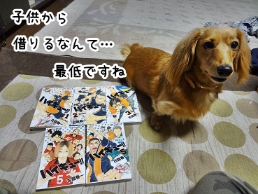 kinako1032.jpg