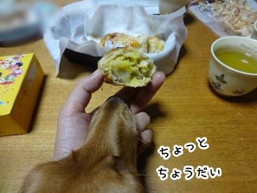 kinako1034.jpg