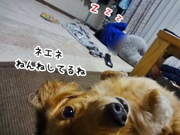 kinako1037.jpg
