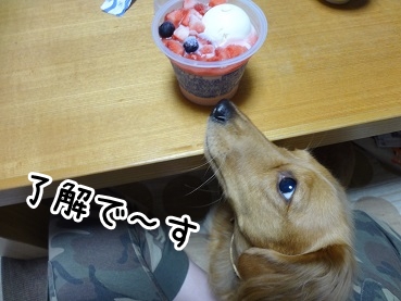 kinako1042.jpg