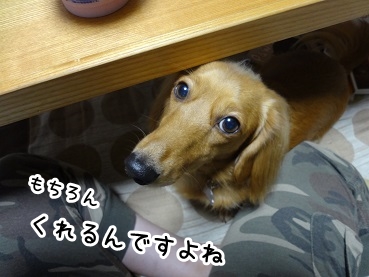 kinako1043.jpg