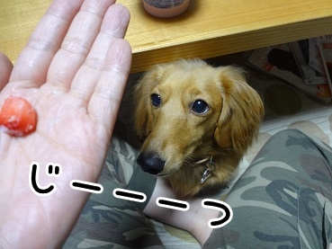 kinako1045.jpg