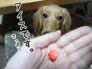 kinako1046.jpg