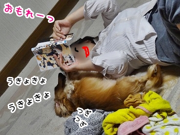 kinako1066.jpg