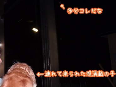 kinako1067.jpg