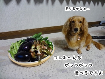 kinako933.jpg