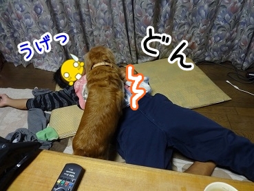 kinako972.jpg
