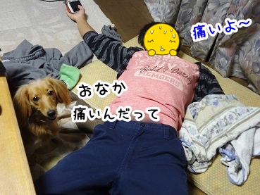 kinako973.jpg