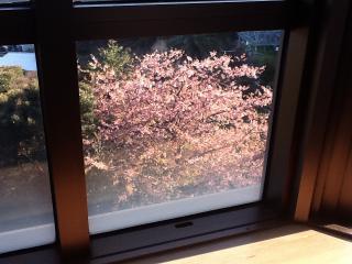 ラビスタ部屋からの景色1