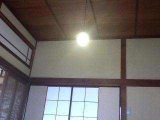 12四月菊屋桐3