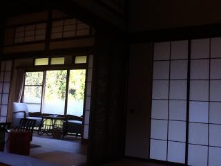 12四月菊屋桐2