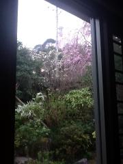 12菊屋四月食事6