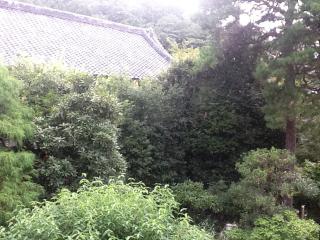 660.jpg