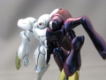 ディキトゥス07
