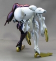 ディキトゥス10