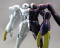 ディキトゥス13