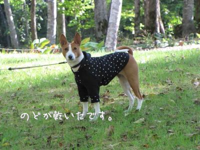 IMG_5768_convert_20110925170000.jpg