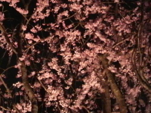 2012033021510002.jpg