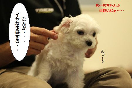 IMG_7585_1 いや 1