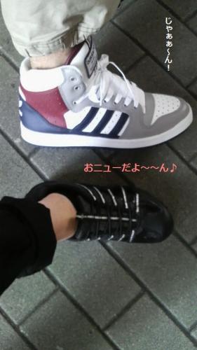 P1010034 おニュー