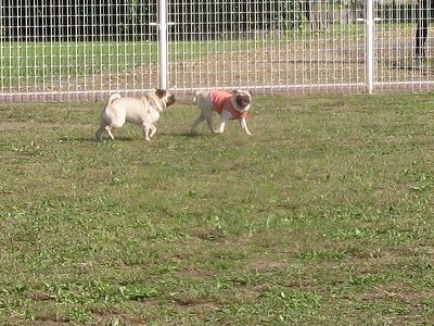 IMG_7426.jpg