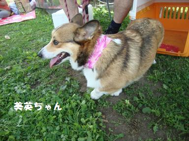 美英ちゃん