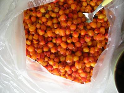 tsatsargaanfruit
