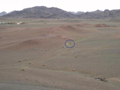 MongolianToilet