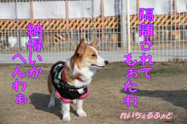 DPP_2842.jpg