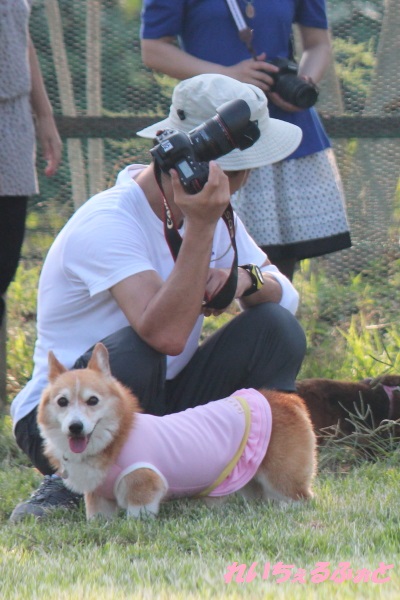 DPP_2880.jpg