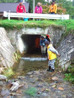 DSCF2206お2_1