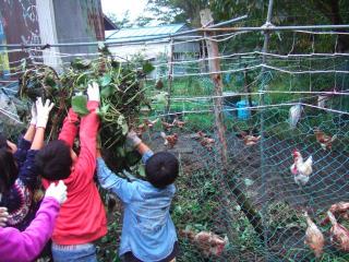 DSCF2242お7_1