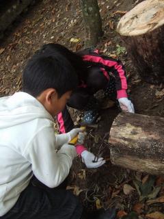 DSCF2305.jpg