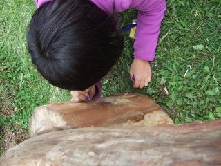 DSCF2327.jpg