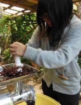 DSCN1233.jpg