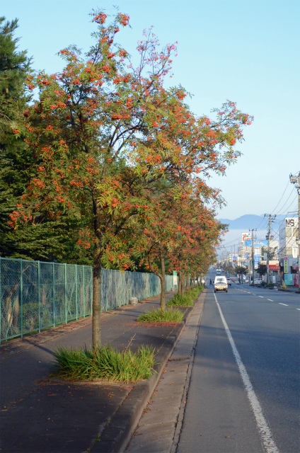 DSC_0591.jpg
