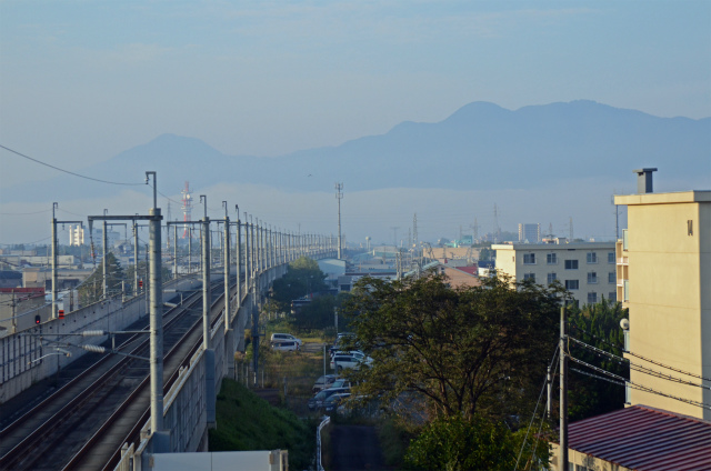 DSC_0594.jpg