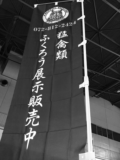922-005.jpg