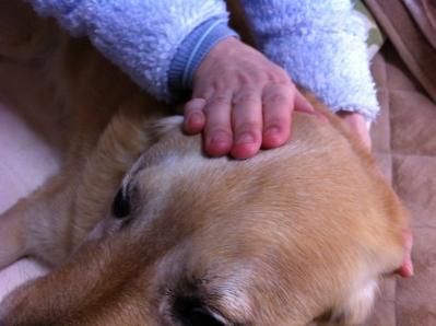2012-03-13T14-27-08.jpg