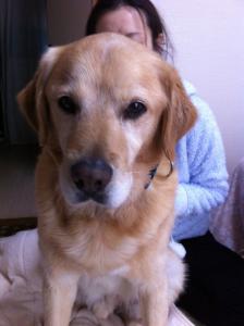 2012-03-13T14-30-14.jpg