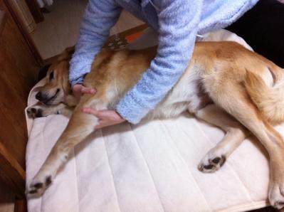 2012-03-13T14-35-18.jpg