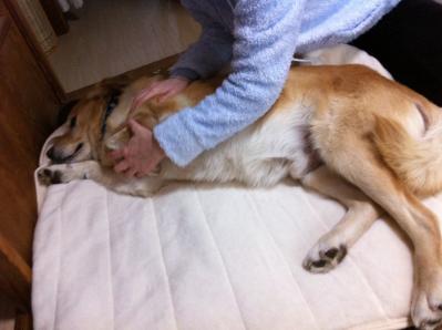 2012-03-13T14-35-32.jpg