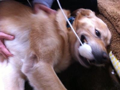 2012-03-13T14-36-31.jpg