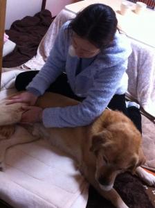 2012-03-13T14-41-39.jpg