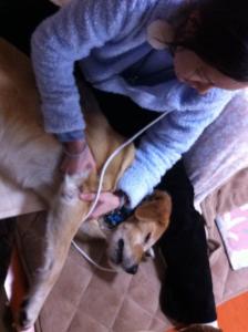2012-03-13T14-42-31.jpg