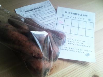 2012 3 24 carrot