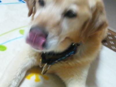 2012 4 18 44